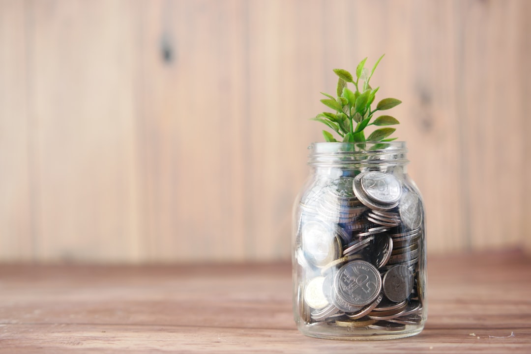 Renewable Energy Investments